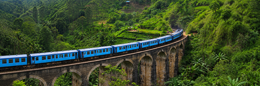 Train to Ella & Drive to Yala