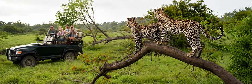 Yala National Park