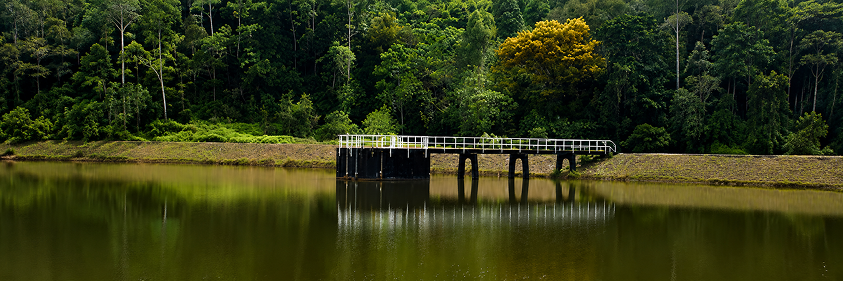 Hiyare Bird Sanctuary