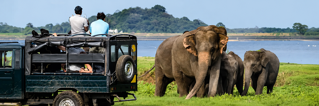 Wilpattu National Park