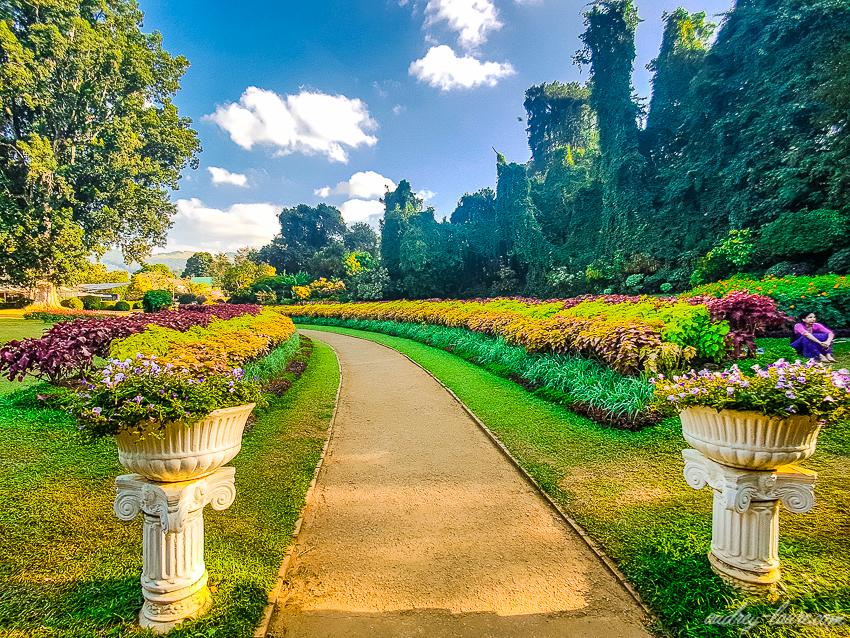 Wander Through a Tropical Eden