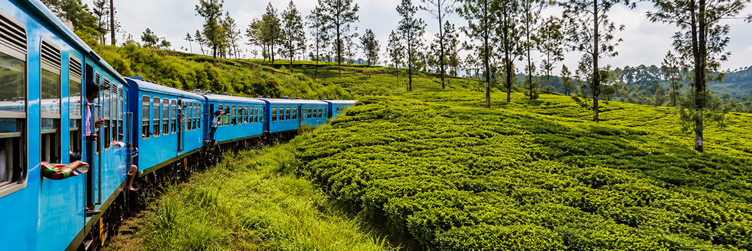 Ride Through the Emerald Highlands